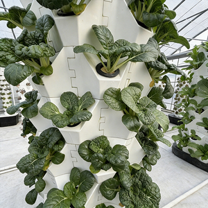 ระบบปลูกพืชแนวตั้งทำจากพลาสติกสำหรับสวนหอคอยพร้อมส่วนประกอบหลักของปั๊ม - Product Image 4