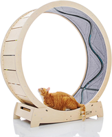 Roue pour chat, tapis roulant pour chat, roue d'exercice pour courir, tourner, gratter et grimper pour chats d'intérieur, bois de bouleau de qualité supérieure