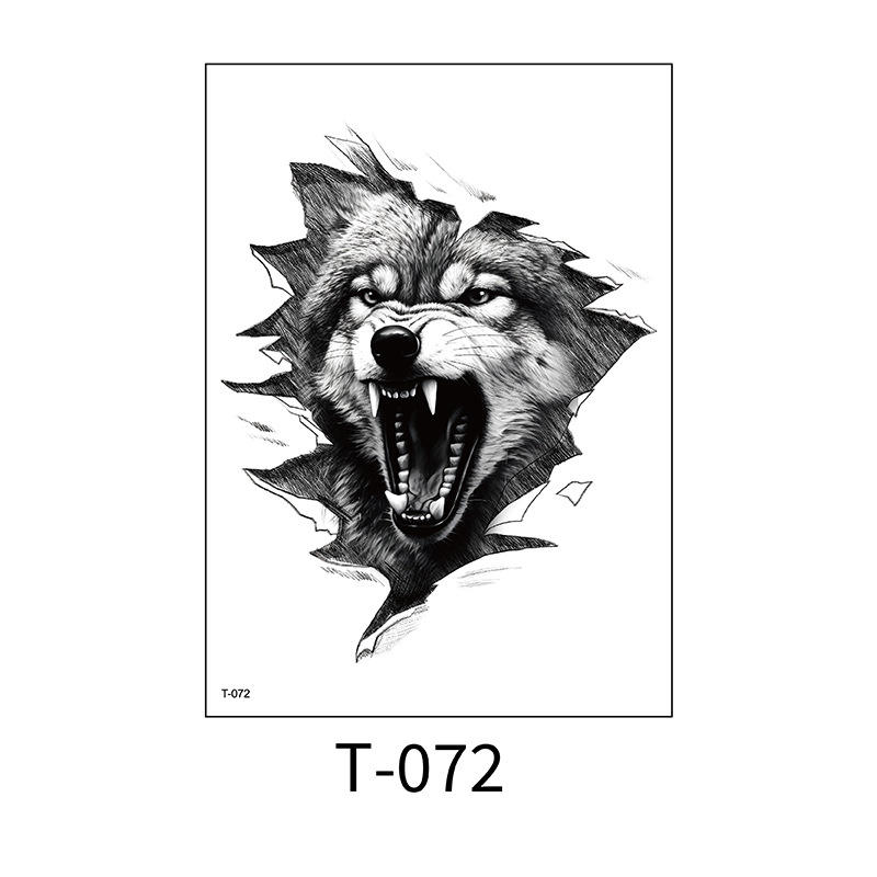T-072