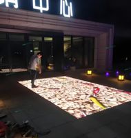 Plancher de jeu activé par lumière interactive de plancher de danse de la fête de mariage LED pour des soirées de danse