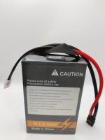 Изготовленный на заказ LIHV 6S 23,7 V 66000mAh 66Ah твердотельный Lipo Batterie Pack 3,95 V ячеек для большого тяжелого промышленного БПЛА
