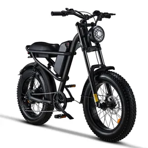 美国仓库电动自行车仓库欧洲最佳电气250W 500W Z8 Fatbike销售