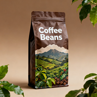 Emballage de sac de café à fond plat imprimé personnalisé de 250g 500g 1kg sac à fermeture éclair en grains de café en feuille anti-odeur avec valve pour les aliments