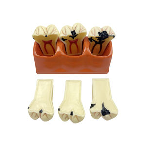 Modèles de comparaison des caries (4 fois grandis), Modèle de dents décomposées pour l'enseignement, la <span class=keywords><strong>recherche</strong></span> et l'étude en dentisterie pour étudiants - Product Image 2