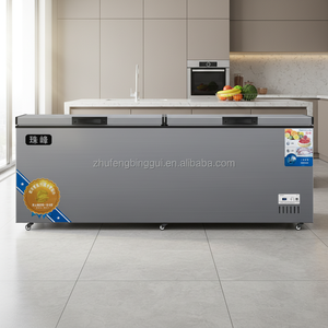 Grand <span class=keywords><strong>congélateur</strong></span> <span class=keywords><strong>coffre</strong></span> commercial électrique à double porte, à dégivrage automatique, à économie d'énergie, <span class=keywords><strong>pour</strong></span> usage domestique, hôtelier, supermarché, stockage alimentaire - Product Image 4