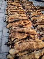 Natürliches Echtes Tanuki-Fell Echtes Waschbärfell Rohmaterial für Winterkleidung Fellbesatz und Handtaschendekoration