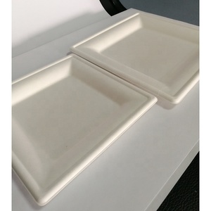 Vente en gros Assiette carrée en pâte à papier biodégradable et compostable écologique - Product Image 3
