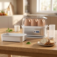 Cuiseur à œufs électrique automatique pour 6 œufs, usage domestique, vente en gros directe usine