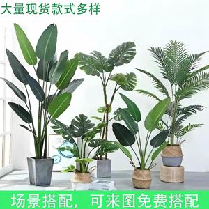 Plante artificielle nordique en plastique, palmier Areca en pot, <span class=keywords><strong>hauteur</strong></span> 100-200 cm, décoration intérieure et aménagement paysager - Product Image 2