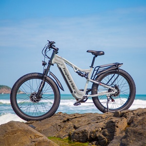 Offre Spéciale adultes montent sur le gros pneu <span class=keywords><strong>vélo</strong></span> de course <span class=keywords><strong>électrique</strong></span> 26 pouces City Ele Ctric pour la <span class=keywords><strong>promotion</strong></span> de Noël pour adulte - Product Image 6