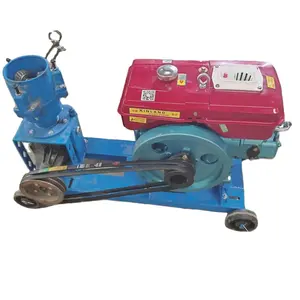 WEIYAN Motor Diesel Tipo Frango Peixe Feed Pelletizer Máquina Aves Mini Animal Feed Pellet Machine África do Sul