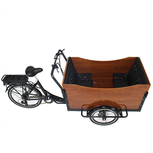 Véhicule à batterie lithium, cadre en acier, moteur sans balais 500W, livraison quotidienne, transport d'enfants, stable, sûr, moderne, T05 Kids Tr T05 Kids - Product Image 4