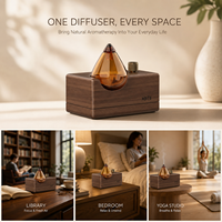 Diffuseur d'huiles essentielles premium HIITII 20 ml, sans eau, en bois, nébulisation, réservoir en verre fait main, rechargeable par USB, pour la maison et l'hôtel