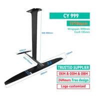 LIHENG Hydrofoil Full Carbon Fiber Unisex pour E-Foil Surfboard Hot Selling Model Water Sports ODM OEM Available