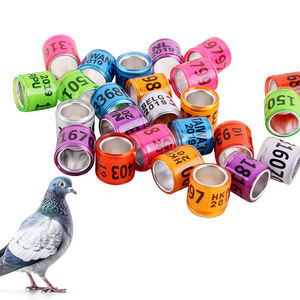 Qa Pluimveehouderij Uitrusting 8Mm Aluminium Vogels Ringduivenpoot Ring Voor Kippenboerderijkuikens Papegaai Kwartelvogels - Product Image 1