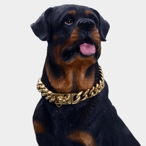 Collar de Acero Inoxidable de Alta Resistencia para Perros, Tipo Cadena Cubana, Anti-Mordidas, para Perros Medianos y Grandes, <span class=keywords><strong>Pitbull</strong></span>, Bulldog, para Paseo y Entrenamiento - Product Image 1