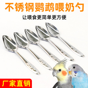Ensemble de cuillères à nourriture pour oiseaux en acier inoxydable Crown Asia pour perruches, calopsittes, perroquets élevés à la main, durables, toutes saisons - Product Image 4