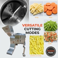 Multifunctionele 3D hogesnelheidsmotor voedsel snijmachine van roestvrij staal voor commercieel gebruik, geschikt voor groenten, fruit en vlees, snijdt in blokjes en reepjes