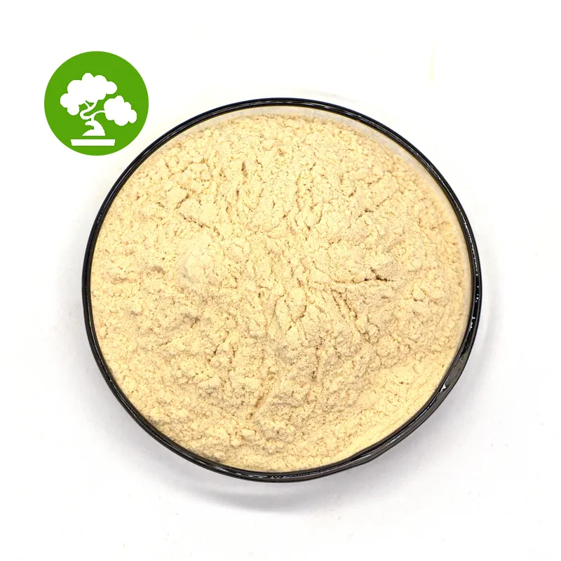 Top Quality Lecithin of Soya Lecithin Phosphatidylcholine Lecithin Powder