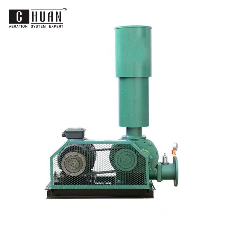 Mini 3hp root blower