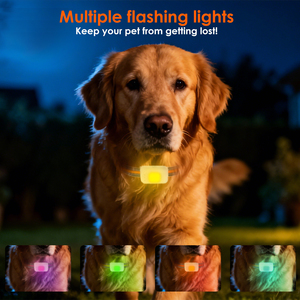 Suivi de la santé et de l'activité des chiens et des chats, traceur GPS pour animaux de compagnie E Sim Pet Gps tracker 4G G63 pour application d'animaux de compagnie, suivi en temps réel sans limite de distance - Product Image 2