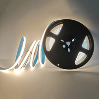 Vente flash : Lumières FCOB personnalisées blanc chaud avec tube en silicone IP33 pour application en jardin
