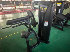 Appareil de musculation professionnel à charges guidées pour la musculation des bras : Machine combinée pour curls biceps et extensions triceps - Product Image 5