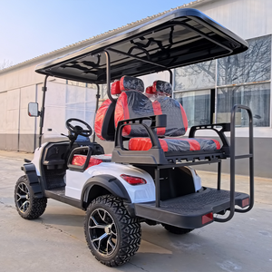 Voiturette de <span class=keywords><strong>golf</strong></span> télécommandée élégante en <span class=keywords><strong>titane</strong></span>, tout-terrain, durable, véhicule électrique de quartier (VEQ) pour loisirs personnels - Product Image 3