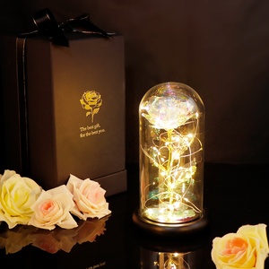 OurWarm 2021 Forever Galaxy Rose con luz LED Dia De La Madre Regalos para el día de la madre Pedido mínimo 50 piezas - Product Image 1