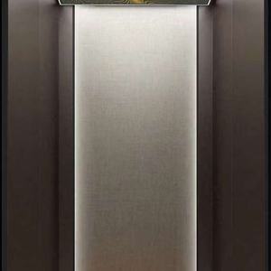 Ascensor de Pasajeros para Apartamentos Pequeños, Diseño Popular Personalizado, para Viviendas - Product Image 1