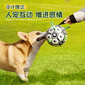 Ballon de football pour dressage de chiens, taille S M, jouet durable pour animaux de compagnie, pour Golden Retriever, Labrador, Corgi, Border Collie, jeu en plein air - Product Image 2