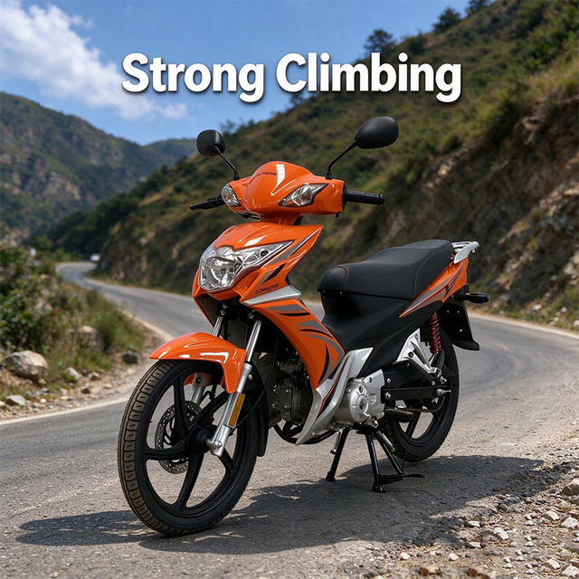 Hot Sale in Africa 125cc  New Style Horizontal Engine Air-cooled Motorcycle