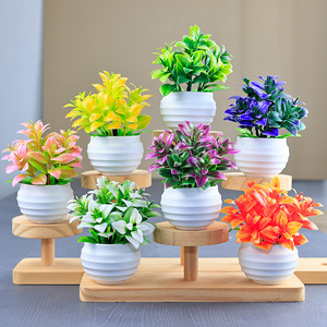 Huaien all'ingrosso piante grasse artificiali e piante in vasi di plastica-Mini Bonsai creativo per decorazioni scrivania da ufficio - Product Image 1