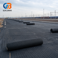 Rouleau de géogrille biaxiale en HDPE haute résistance et durable pour la stabilisation des talus de voies ferrées, la construction de chemins d'accès et de routes