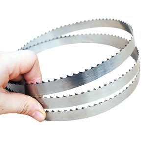 Lame de scie à ruban Grizzly et <span class=keywords><strong>Magg</strong></span> y ou Salvador e 1650 pour la découpe rapide de viande et d'os congelés - Product Image 1