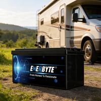 Аккумуляторная батарея Enerbyte Deep Cycle Solar Li-Ion LiFePO4 для автодомов, гольф-каров, AGV, ISO