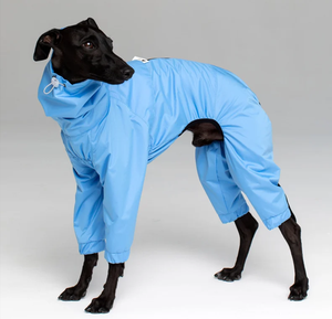 <span class=keywords><strong>Chubasquero</strong></span> para perros personalizado fabricante nuevo diseño elegante cómodo impermeable cálido ligero sudaderas con capucha impermeable <span class=keywords><strong>Galgo</strong></span> para mascotas - Product Image 6
