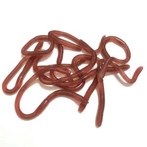 Gusanos Artificiales Rojos de Simulación de Lombriz, 8cm 10cm, Señuelos Blandos con Olor a Pescado para Equipo de Pesca de Niñas - Product Image 4