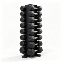 Support de Rangement Professionnel pour Équipement de Fitness en Gros – Rangement Pratique pour 5/8/10 Paires d'Haltères