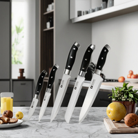 Ensemble de couteaux de cuisine en acier inoxydable de vente chaude 5 pièces couteaux d'office utilitaires de tranche de pain de chef de cuisine avec poignée en ABS