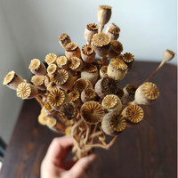 Echte Getrocknete Gold- und Silber-Mohnblumen 40 Gramm pro Bündel für Blumenarrangements zu Hause und DIY-Hochzeitsdekorationen