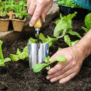 Vertak-Paleta de acero inoxidable pulido para jardín, pala de mano de flores pequeñas con mango de madera - Product Image 5