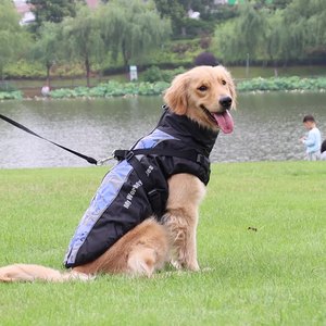 Clima frío Otoño Invierno al aire libre abrigo de perro de cuello alto impermeable cálido reflectante grueso chaqueta para mascotas para perros grandes y <span class=keywords><strong>cachorros</strong></span> - Product Image 2