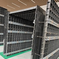 Coffrage en plastique réutilisable de haute qualité pour le moulage de colonnes, pour les panneaux de villa et la construction en une seule pièce