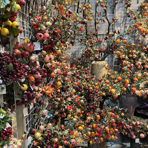 Novità 2026: Melograno Artificiale Irregolare a 5 Teste con Foglie, Melograno Finto Spezzato per Composizioni Floreali Nuziali - Product Image 3