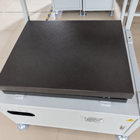 Machine DWS statique intelligente Fengwang FW-SDWS-6080 pour le tri, le pesage et la numérisation de codes-barres sur convoyeur d'entrepôt 1800-2400 triements