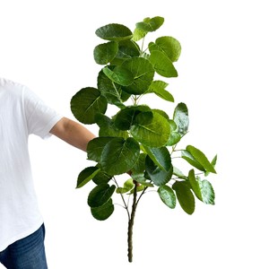 Planta Artificial de Árbol del Dinero Meng Jie, 80cm-100cm, Follaje de PVC para Decoración de Interiores y Exhibición en Maceta - Product Image 5
