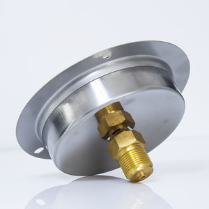 Roestvrijstalen Behuizing Digitale Balkketel Drukmeter 0-15psi Model Yn100 Haiyixing Merk Oem Fabrikant - Product Image 5