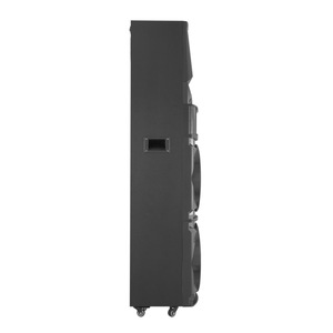 JBA High-Power Video Audio System Dual 12-Inch Speakers Bluetooth Stage Equipment For Outdoor Home Fitness Sports - Product Image 5
