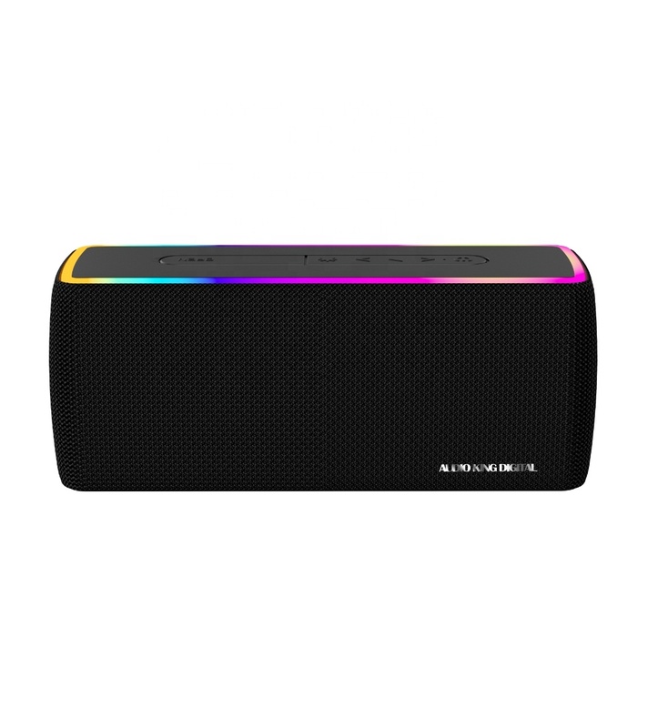 20W Big Sound High Power DSP